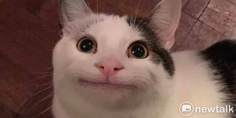  這是一隻貓，這是一隻貓，這是一隻貓，這是一隻貓，這是一隻貓。 cat 