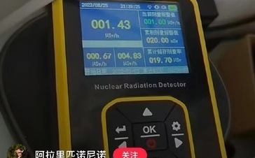 上海網友測自家核輻射值竟是東京976倍 學者：日本核電廠排水加劇中國房地產危機 | 中國 | Newtalk新聞