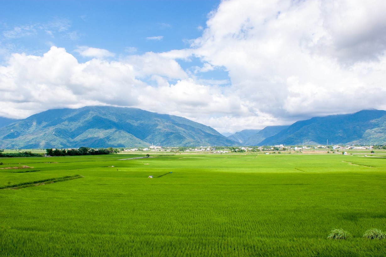 美麗花東縱谷這一幕齊柏林陳冠齊遨翔了 生活 新頭殼newtalk