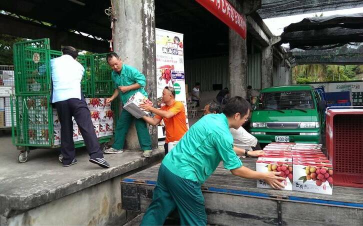 防雙11成非洲豬瘟破口!數發部將設立精準方案、加強包裹攔截