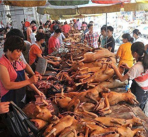 市場小販販賣狗肉   圖：截取自網路
