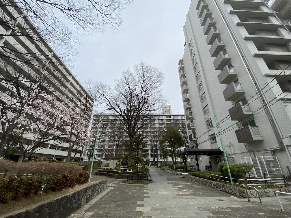 居住環境良好的龜戶二丁目團地現在新入住的半數以上是中國人，附近新公寓購買者也是中國人，是近年新興中國城 圖:劉黎兒攝影
