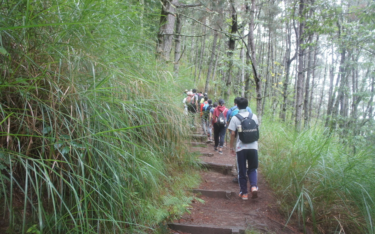 [情報]雪山登山口至七卡現場登記 每日80人