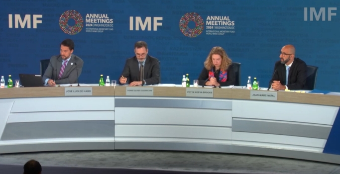 「不歧視台灣法案」明確支持台灣參與國際貨幣基金（IMF）。 圖: 擷取自IMF發布會視頻