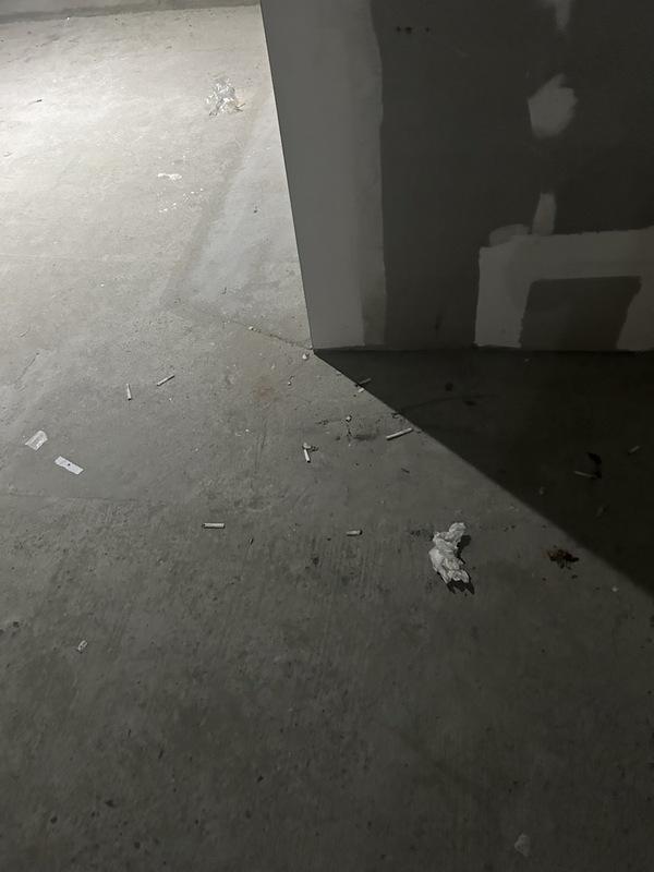 顏若芳還踢爆大巨蛋未經許可室內裝修滿地菸蒂。 圖:顏若芳辦公室提供 顏若芳還踢爆大巨蛋未經許可室內裝修滿地菸蒂。 圖:顏若芳辦公室提供