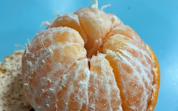 橘子白絲別再剝掉!減重醫曝:內含「川陳皮素」可活化燃脂酵素