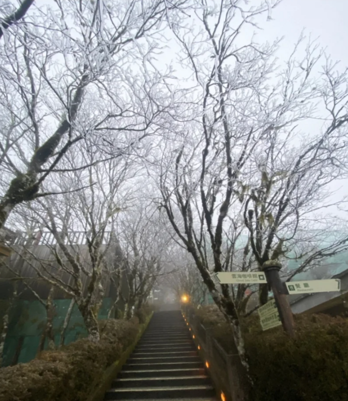 園區再度化身銀白世界，是3月罕見的美景。   圖：太平山莊／提供