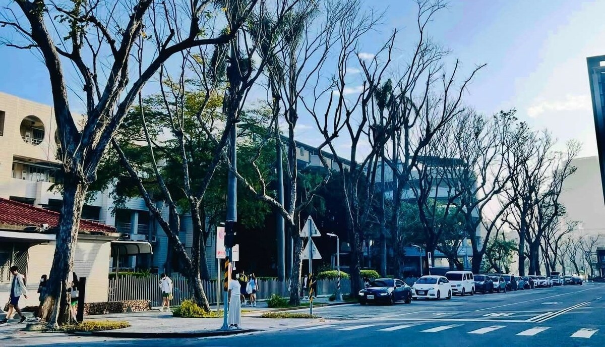 鼓山高中通學步道改善工程讓整個景觀變得更漂亮。   圖：高雄市教育局/提供