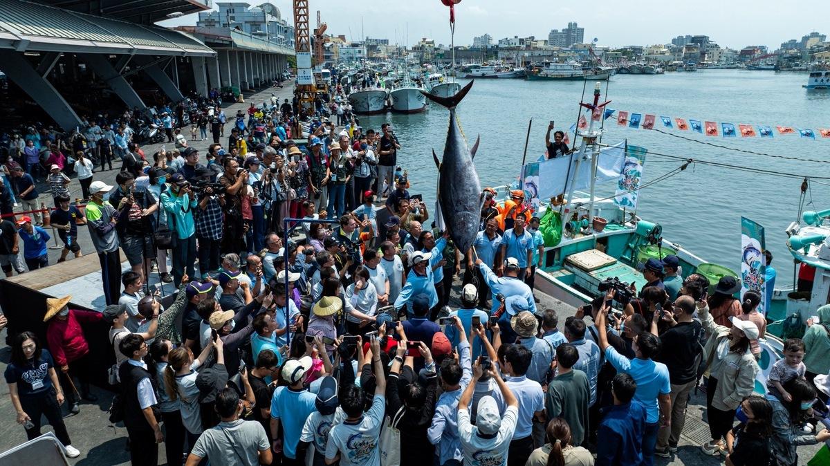 眾人爭睹屏東第一鮪風采。   圖：屏東縣政府/提供
