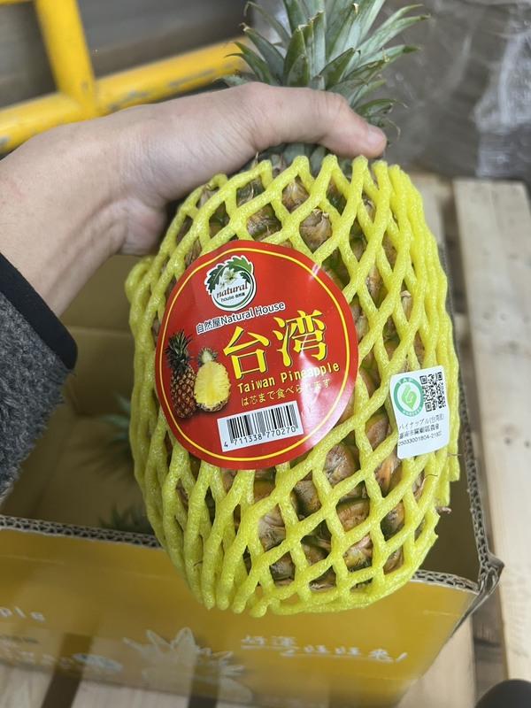 「新加坡食品展」後首批銷往新加坡的鳳梨貨櫃於今日上午裝櫃,預計將於4月19日抵達新加坡,並於4月25至27日在新加坡FairPrice的10家連鎖超市進行30場試吃品嚐活動。 圖:台南市政府提供