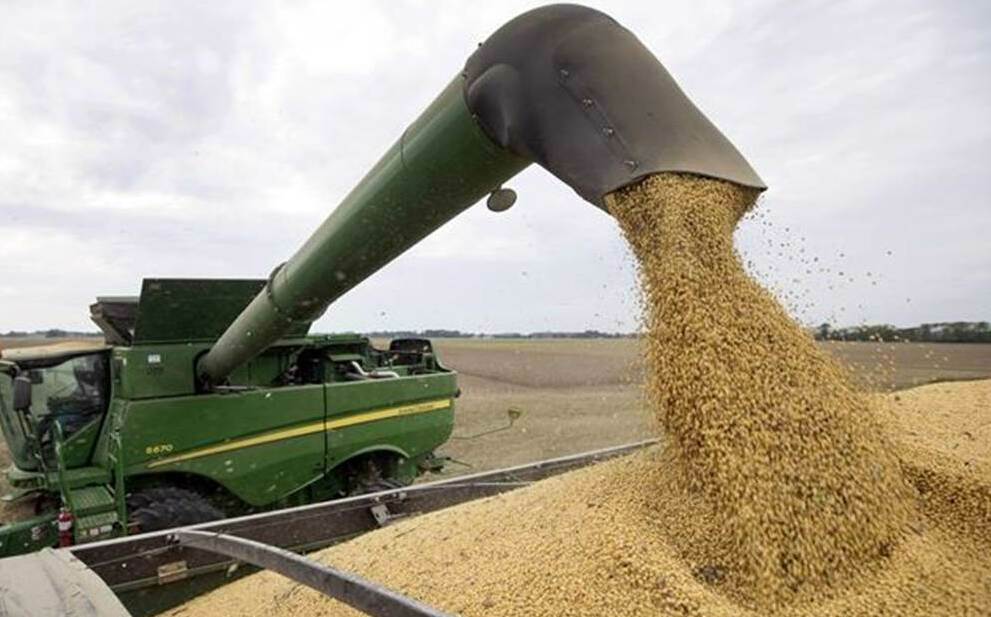 中國對美進口黃豆連兩個月掛零  巴西黃豆占比逾七成