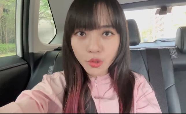 黃捷認為雙罷劫負責人承認抄名冊，背後提供名冊的主謀應出面承擔。   圖：孫家銘/翻攝