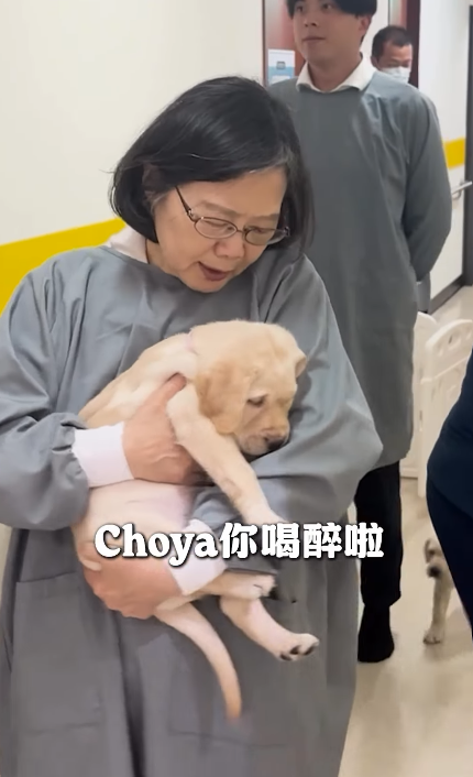 蔡英文抱著「Choya」十分開心   圖：翻攝自蔡英文IG