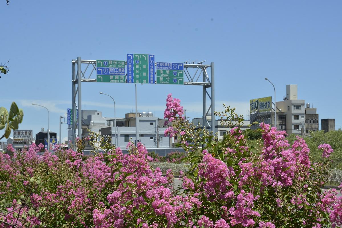 國道1號頭份路段紫薇花期為7~8月。   圖：高速公路局／提供