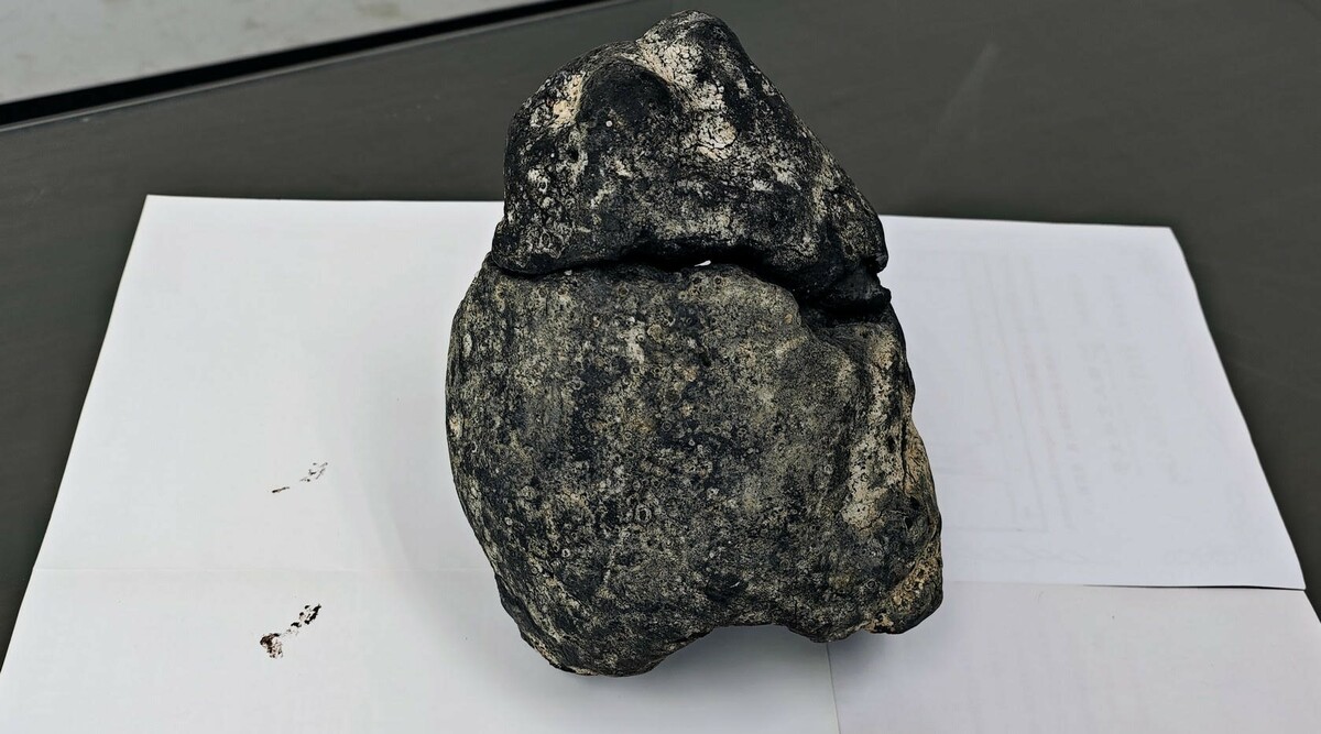 家住北部的蘇姓女士拾獲的這塊龍涎香價值不斐。   圖：高雄大學/提供