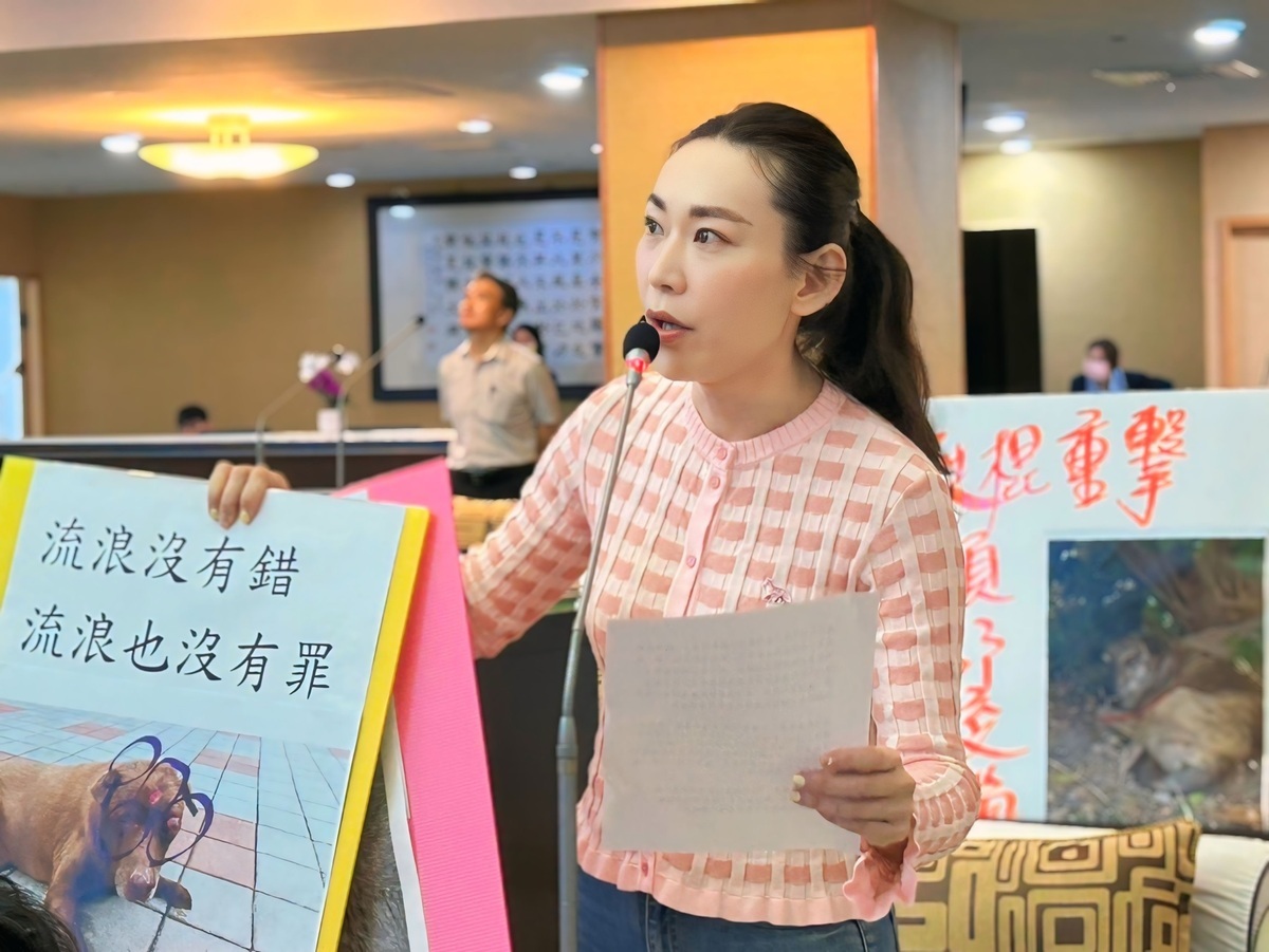 台南市議員曾之婕在議會為被虐殺的浪浪（流浪狗）「申冤」，指出最近台南出現一名開著進口轎車的男子，到處隨機虐殺犬隻，平時出沒在安平區、安南區和七股一帶，他都拿著鐵棍鐵條或磚塊，朝犬隻的頭部重擊，自去年以來已有多隻浪浪死於非命，他要求動保處會同警方務必要嚴辦到底。   圖：黃博郎／攝