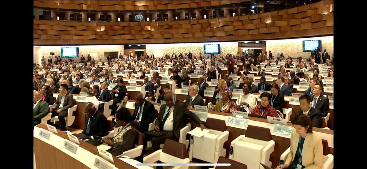 第78屆世界衛生大會正在瑞士日內瓦召開。   圖：翻攝自世衛直播