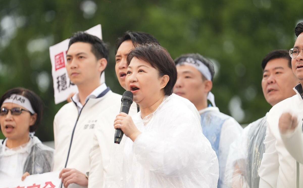 金大鈞觀點》盧秀燕細數綠營劣跡 藉大罷免炒黨主席、總統聲勢