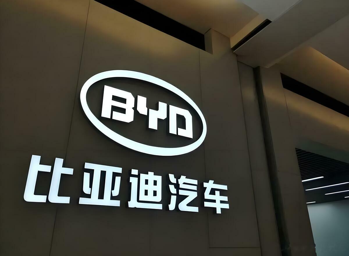 中國電動車龍頭比亞迪。 圖：翻攝自百度 