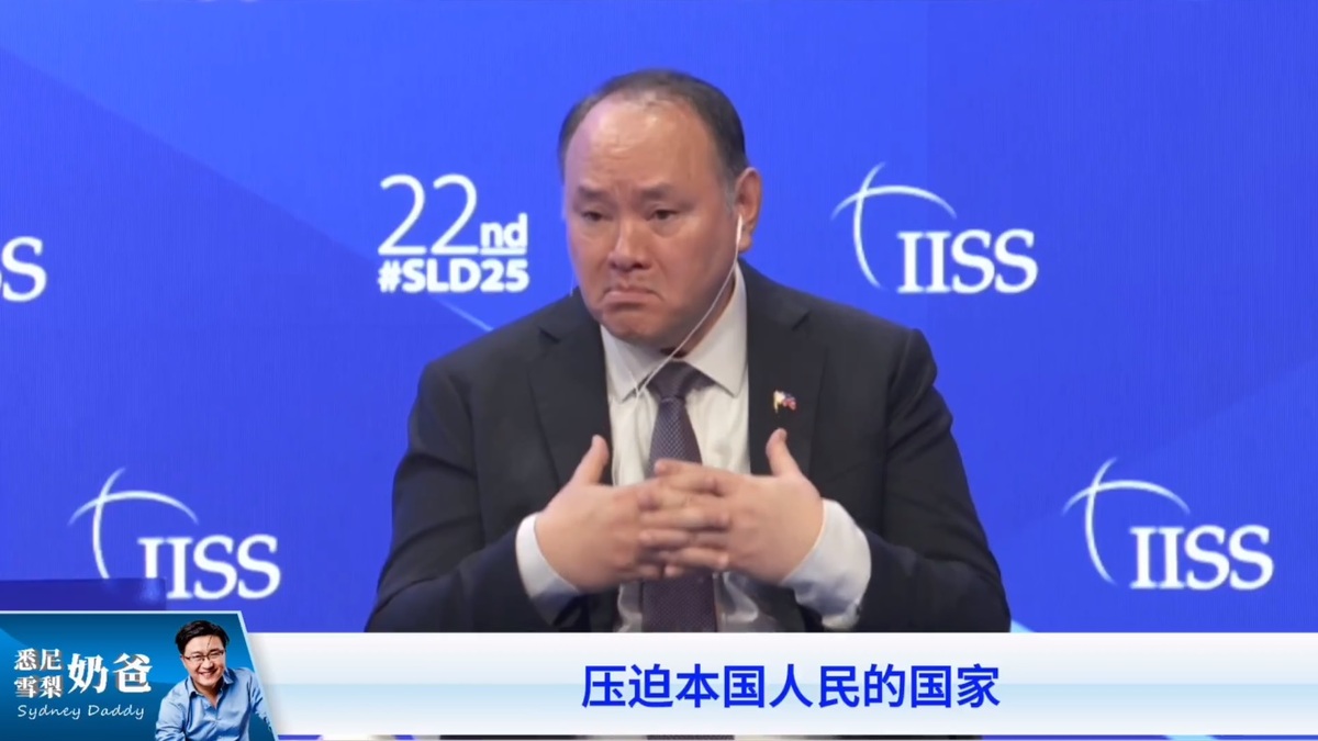  針對中國軍方的政治宣傳提問，特奧多羅以鄧小平在 1974 年聯合國大會上的發言進行回應，並強調自己並不信任「主動壓迫本國國民的國家」。 圖：擷取自 @SydneyDaddy1 X 分享影片 
