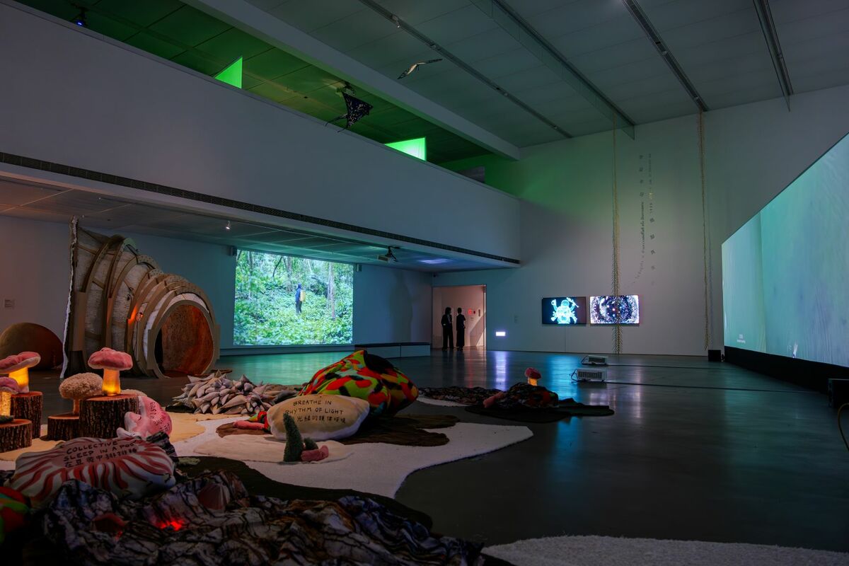 呂岱如以共同策展人身分，於高雄市立美術館舉辦之「山演算」展覽   駐英國代表處文化組提供