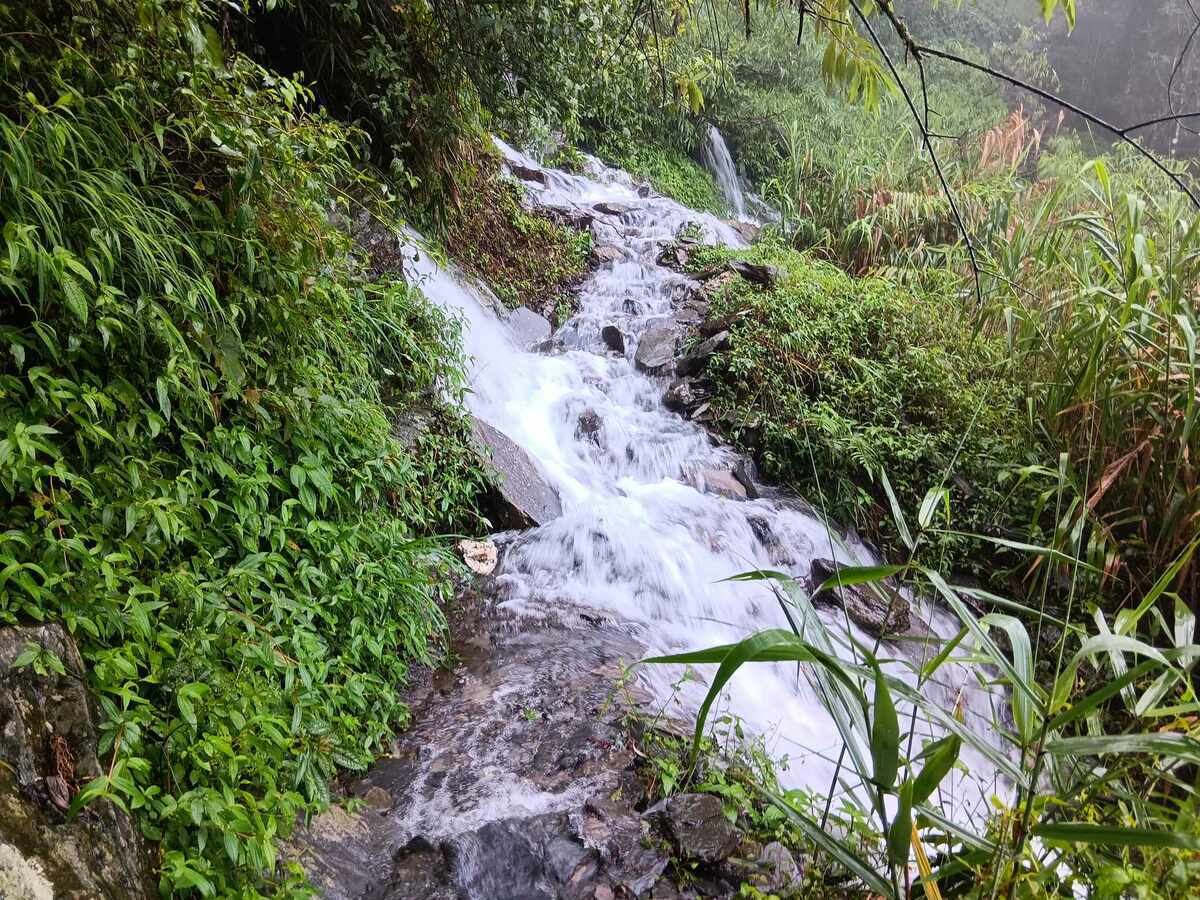 北大武山步道現況。   圖：林保署屏東分署／提供
