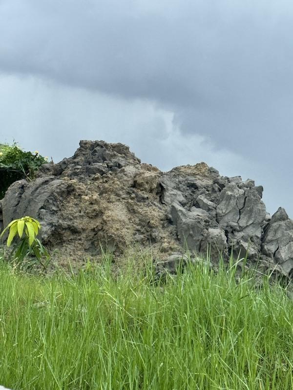 台南市議員林燕祝接獲檢舉，又有不肖業者在農地和魚塭傾倒營建等有毒廢棄物，她在總質詢出示小山高般的皂土和營建廢棄物的現勘照片，出現在仁德和官田區，這兩起檢舉案並未在市府列管追蹤的240筆農地違規案中，質疑黑數究竟有多少？   圖：林燕祝服務處提供