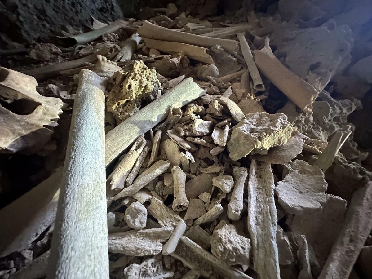 二戰洞窟發現的人體骨骸夾雜在枯木、碎石中。   圖：宋德威/提供