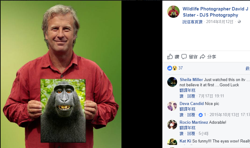 英國攝影師史萊特因為1張印尼黑冠獼猴納魯托咧嘴笑的自拍照，全球爆紅，卻也捲入版權官司2年多。   圖：翻攝史萊特攝影臉書