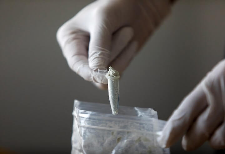  芬太尼前體物質。圖 : 達志影像 / 路透社