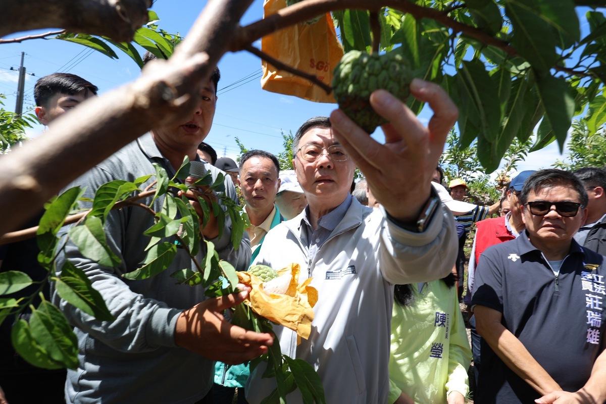  行政院長卓榮泰今（16）日前往勘災，視察台東縣卑南鄉大目釋迦農損情形。 圖：行政院提供 