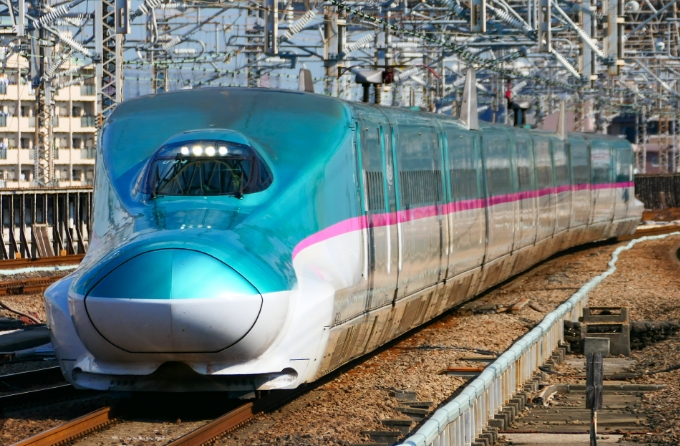  日本隼號列車。 圖 : 翻攝自維基百科 