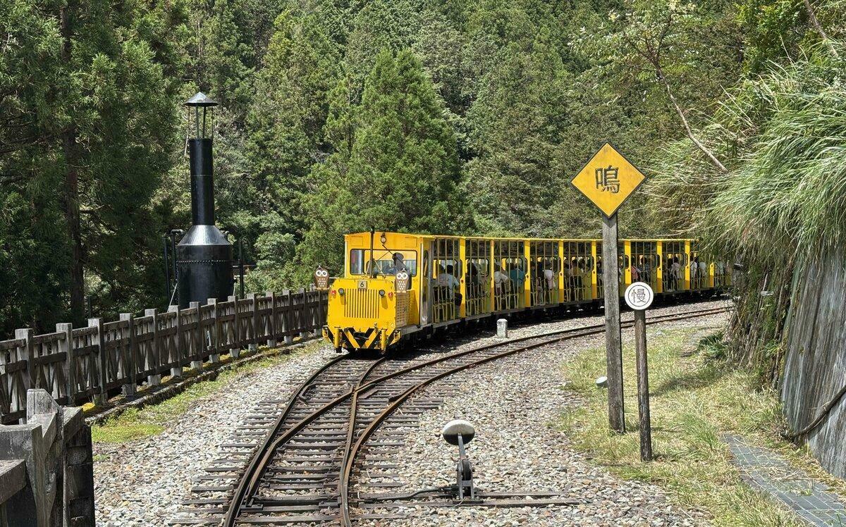 鳳凰颱風逼近！太平山、花蓮多處森林園區10日起預警性休園封館