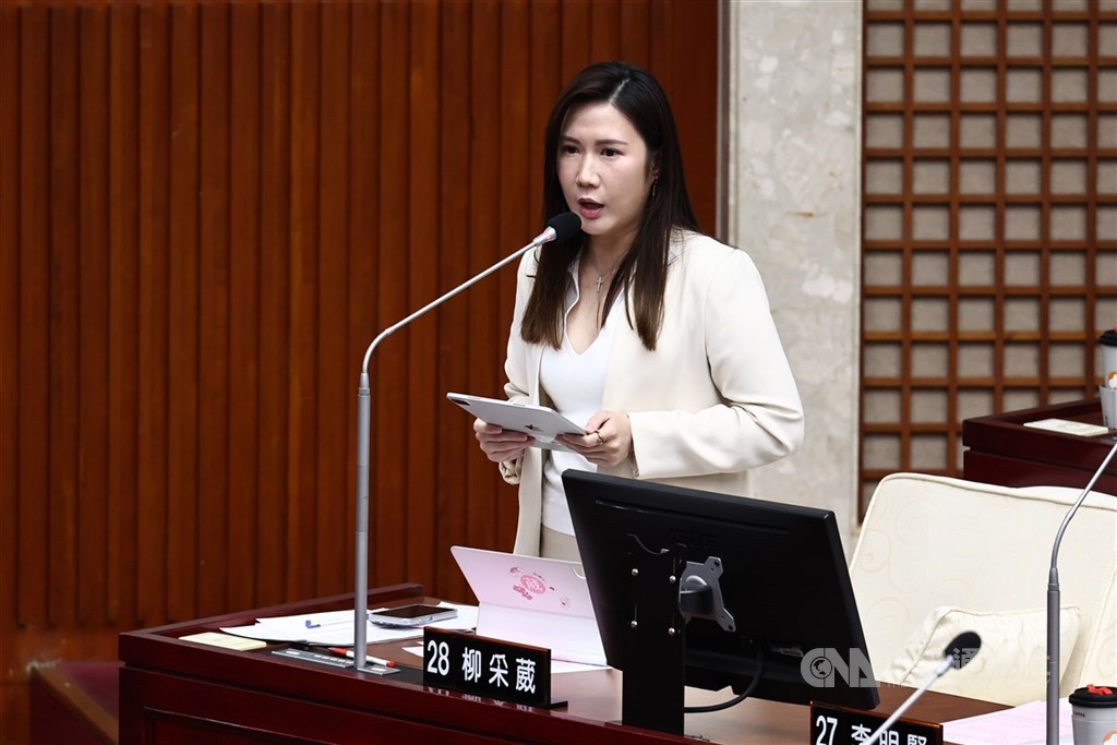 台北市議員柳采葳認為必須持續精進社政、衛政與警政的橫向聯繫。 圖：中央社檔案照片