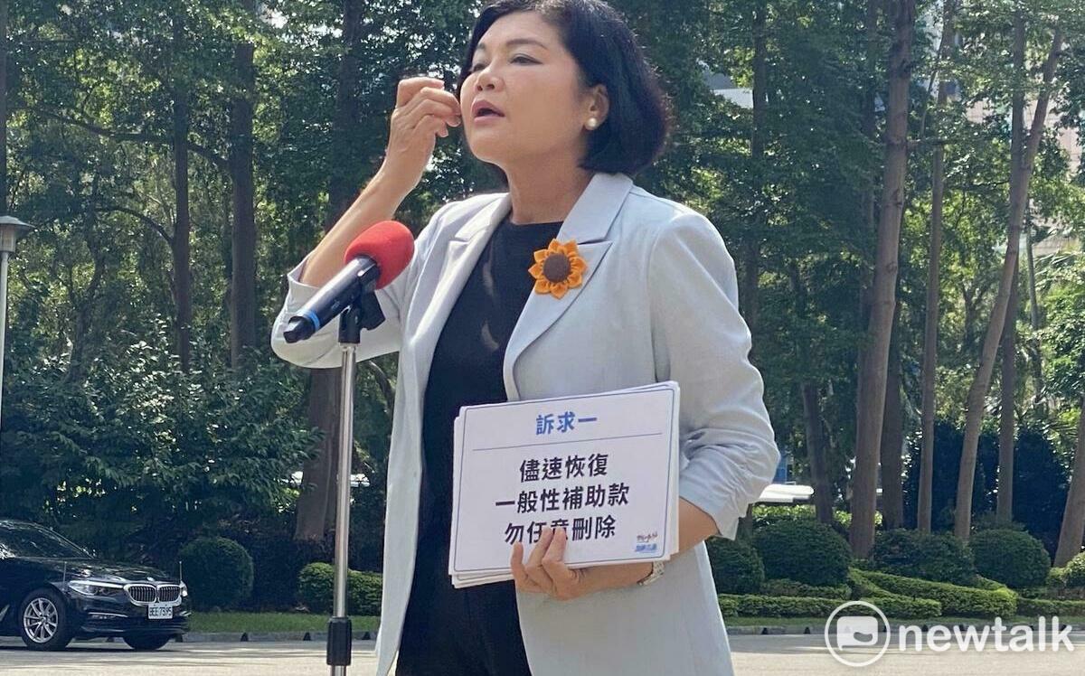 財劃法爭議》張麗善：別抓小瑕疵、右手卻刪掉一般性補助款