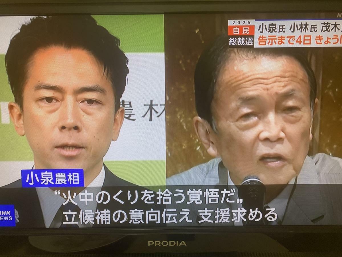  小泉背後有前總理們的支持，麻生太郎九月三日積極趕石破下台，這次沒有特定支持高市。 圖：攝自NHK 