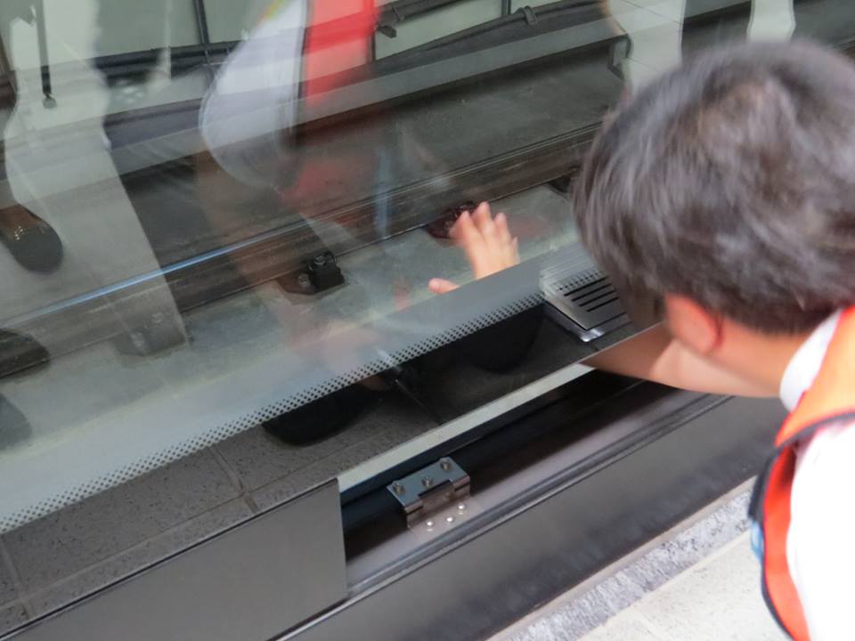 北捷站務人員示範如何把月台防護門的孔窗打開，將手伸進月台便可觸摸到列車外的緊急安全旋鈕。 圖：蘇恆萱/攝   